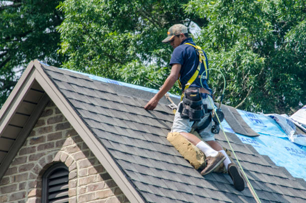 Residential Roof Replacement in Lakesite, TN